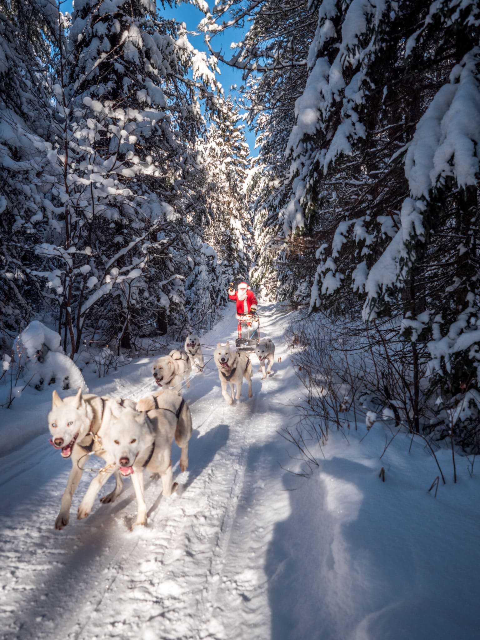 Vacances de Noel au Canada